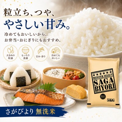 【毎月定期便】【無洗米】さがびより20kg(5kg×4袋)(多久市)全10回