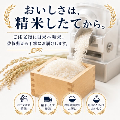 【毎月定期便】さがびより白米5kg(多久市)全6回