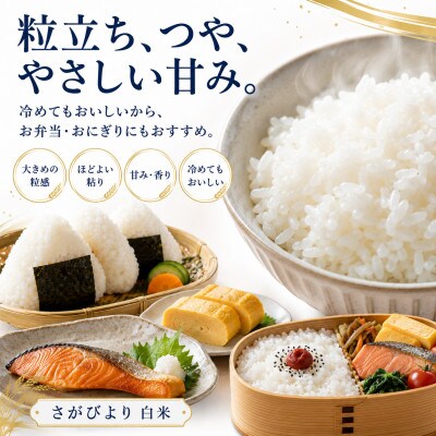 【毎月定期便】さがびより白米20kg(5kg×4袋)(多久市)全6回