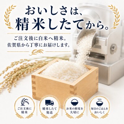 【毎月定期便】さがびより白米20kg(5kg×4袋)(多久市)全5回