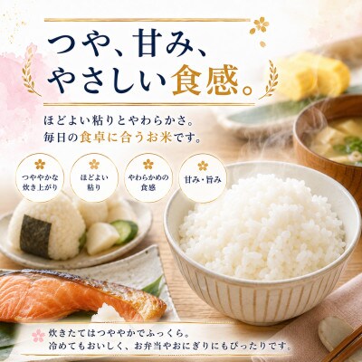 【毎月定期便】【無洗米】夢しずく20kg(5kg×4袋)(多久市)全3回