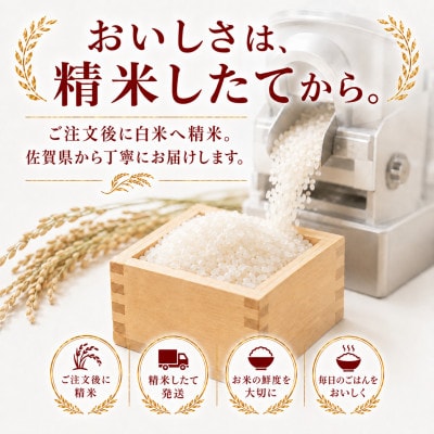 【毎月定期便】夢しずく白米10kg(5kg×2袋)(多久市)全6回