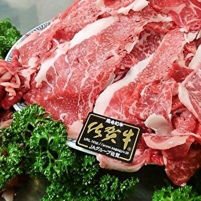 昭和21年創業!老舗の佐賀牛 切り落とし 600g(b-47)(多久市)