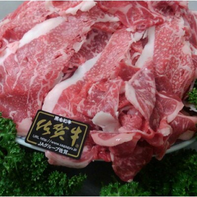 昭和21年創業!老舗の佐賀牛 切り落とし 600g(b-47)(多久市)