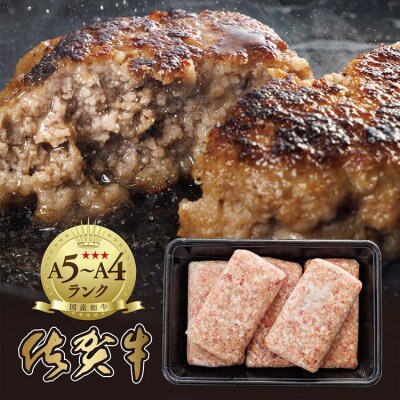 【さとふる限定】老舗の極みハンバーグと肥前さくらポーク豚ロースしゃぶセット(b-136)(多久市)