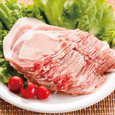 【さとふる限定】老舗の極みハンバーグと肥前さくらポーク豚ロースしゃぶセット(b-136)(多久市)