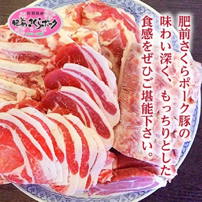 【発送月固定定期便】佐賀県産豚肉「肥前さくらポーク」(k-1)(多久市)全6回