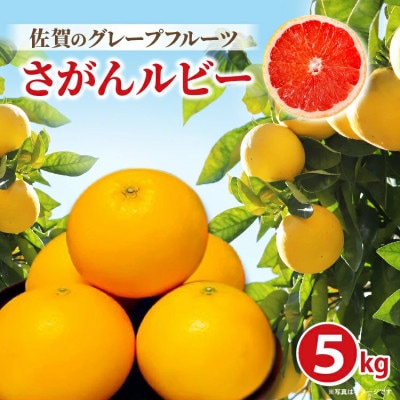 さがんルビー 約5kg(グレープフルーツ)(多久市)