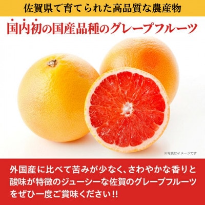さがんルビー 約5kg(グレープフルーツ)(多久市)
