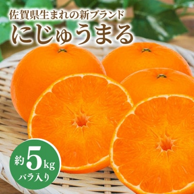 佐賀県産にじゅうまる(みかん) 約5kg バラ入り(多久市)
