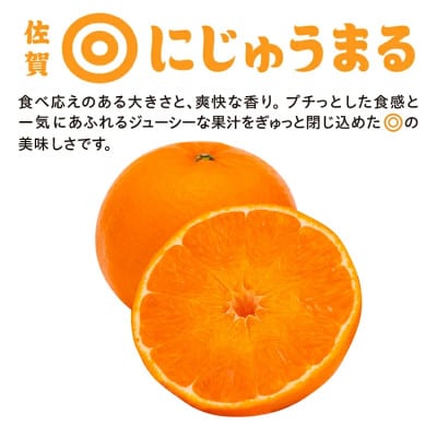 佐賀県産にじゅうまる(みかん) 約5kg バラ入り(多久市)