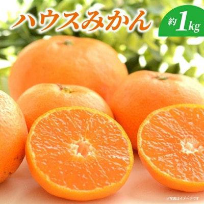 【先行予約】ハウスみかん 約1kg(多久市)