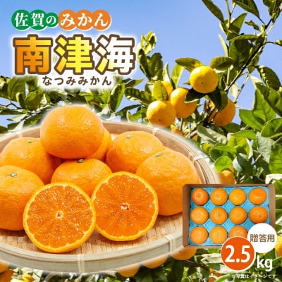 【贈答向け】南津海(なつみ)みかん 約2.5kg(多久市)