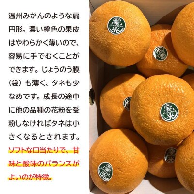 西南の光(みかん)約2.5kg【化粧箱入り】(多久市)