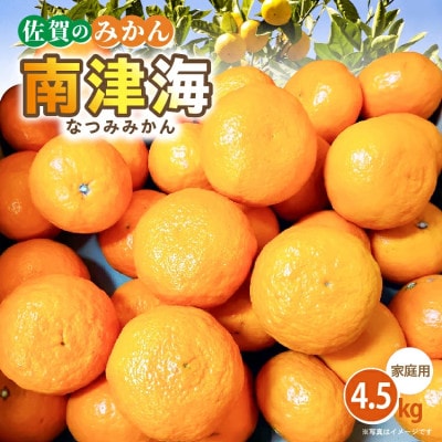 【ご家庭向け】南津海(なつみ)みかん 4.5kg(多久市)