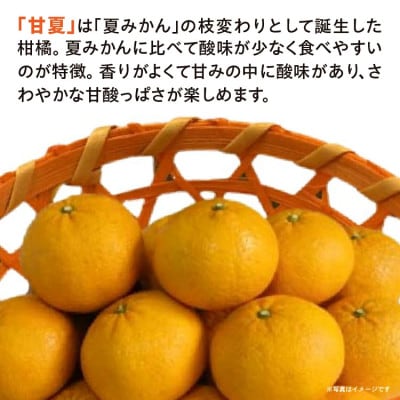 甘夏 5kg(多久市)