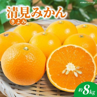 【先行予約】佐賀県産 清見(きよみ)みかん 約8kg(多久市)