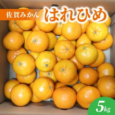 【佐賀みかん】はれひめ 5kg(多久市)