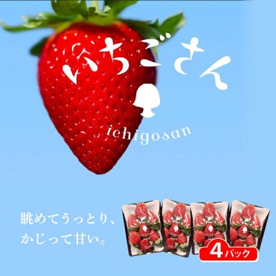 【先行予約】佐賀県産 いちごさん 960g (240g×4パック)(多久市)
