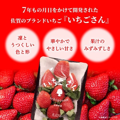 【先行予約】佐賀県産 いちごさん 960g (240g×4パック)(多久市)