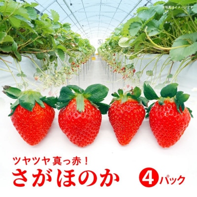 【先行予約】佐賀県産 さがほのか 960g (240g×4パック)(多久市)