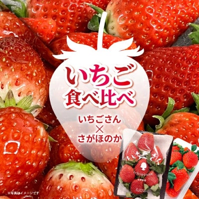 【先行予約】佐賀県産 いちご 食べ比べ 480g (いちごさん さがほのか 各240g)(多久市)