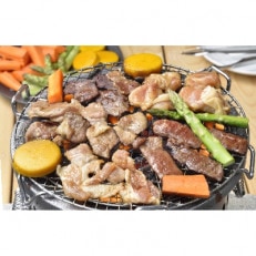 日乃出食品　ジンギスカン食べ比べ5種セット(羊牛豚鶏鹿)　計2.5kg | ふるさと納税のお礼品