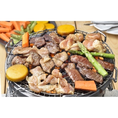 【2024年6月下旬発送】日乃出食品　ジンギスカン食べ比べ5種セット(羊牛豚鶏鹿)　計2.5kg