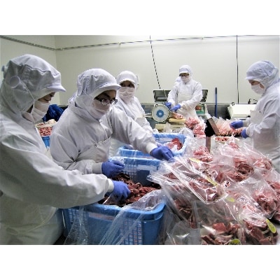 【2024年6月下旬発送】日乃出食品　ジンギスカン食べ比べ5種セット(羊牛豚鶏鹿)　計2.5kg