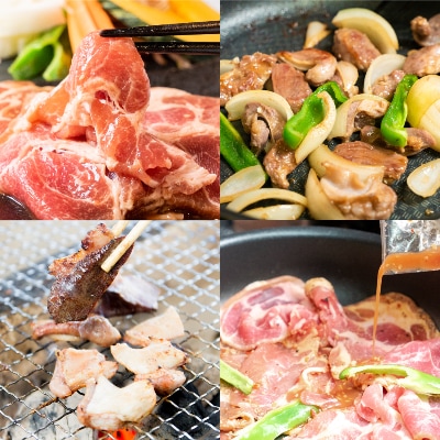 【贅沢!6種類食べ比べ!北海道産豚サガリセット】計1.45kg_01303