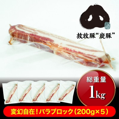 【放牧豚”炭豚”】変幻自在!バラブロック1kg(200g×5)_01715