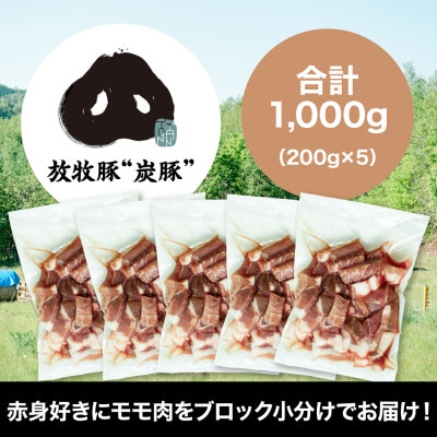 【放牧豚”炭豚”】赤身好きにモモ肉をブロック小分けでお届け!(200g×5パック)_01713
