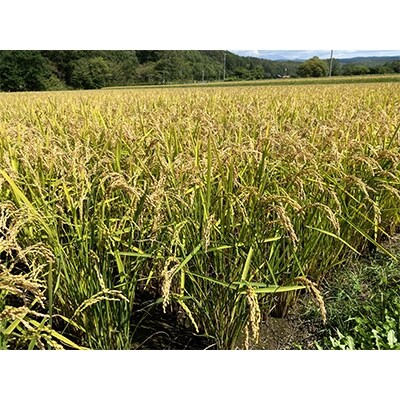 【2022年7月上旬発送】【数量限定米】北原さんのお米5kg~旭川産ななつぼし~