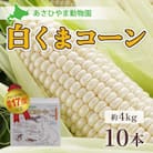 2025年8月より発送　あさひやま動物園白くまコーン4kg　旭山動物園監修箱入り_00308