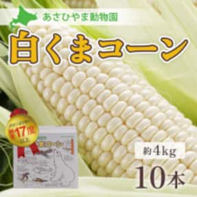先行受付 令和5年8月より順次発送「あさひやま動物園白くまコーン」4kg 旭山動物園監修の化粧箱入り