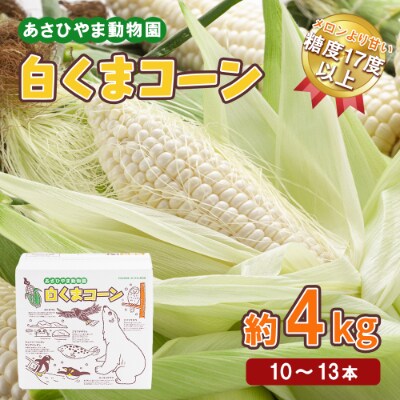 【先行受付】令和4年8月発送 「あさひやま動物園白くまコーン」(ホワイトレディ)4kg