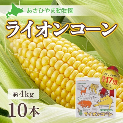 2025年8月より発送　あさひやま動物園ライオンコーン4kg　旭山動物園監修箱入り_00307