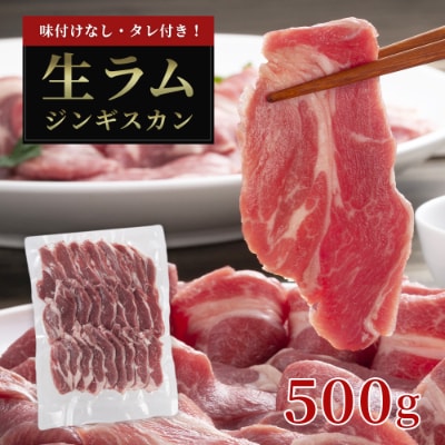 厚切り生ラムジンギスカン 500g ジンギスカンのたれ 100gセット お礼品詳細 ふるさと納税なら さとふる