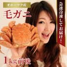 北海道産 毛ガニ 1尾 1kg前後_01189