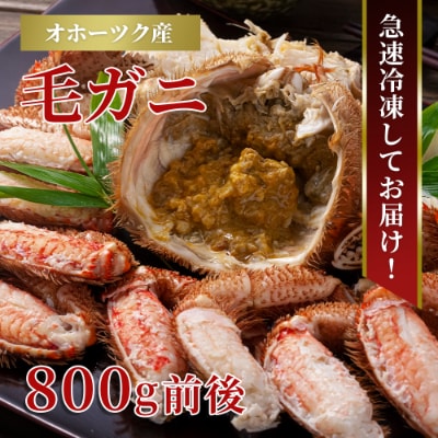 北海道産 毛ガニ 1尾 800g前後_01190