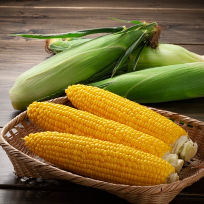 令和4年8月発送 先行受付 象もろこし ライオンコーン ビックサイズ 約480g 約550g 8本 お礼品詳細 ふるさと納税なら さとふる