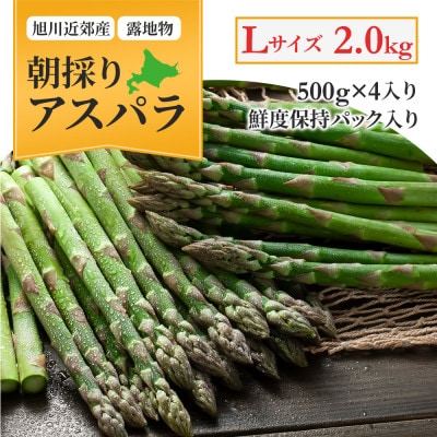 【先行受付】令和7年5月中旬より発送　アスパラ2kg500g×4　Lサイズ　旭川近郊産_01591