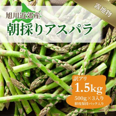 【先行受付】令和7年5月中旬より発送　訳ありアスパラ　1.5kg500g×3　旭川近郊産_01589