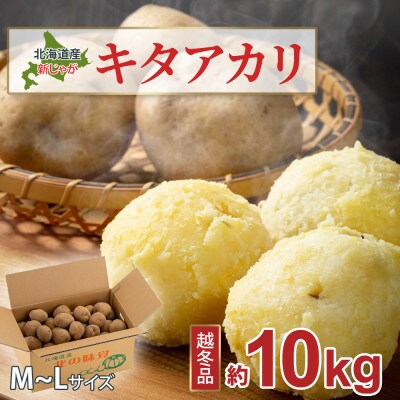 新じゃが 冬季追熟越冬品 甘みが増したキタアカリ(M~Lサイズ)約10kg (北海道産のじゃがいも)