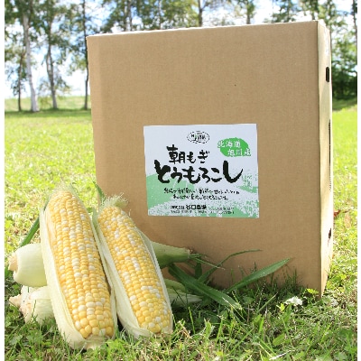 【先行受付】もぎたて とうもろこし 5kg(11～13本)_02203