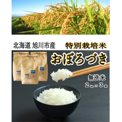 おぼろづき無洗米2kg×3袋_01259