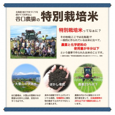 特別栽培米ゆめぴりか 白米 5kg
