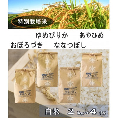 特別栽培米 あやひめ・おぼろづき・ななつぼし・ゆめぴりかの4品種(白米2kg×4袋)_01764