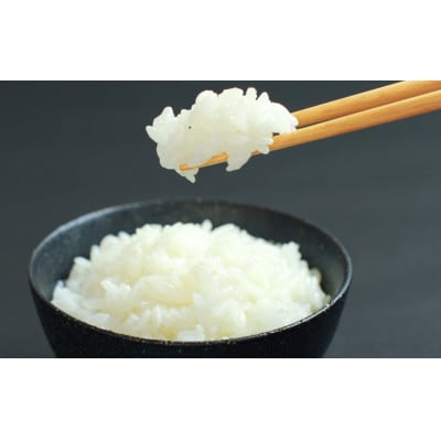 特別栽培米 あやひめ・おぼろづき・ななつぼし・ゆめぴりかの4品種(白米2kg×4袋)_01764