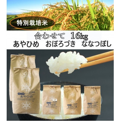 特別栽培米あやひめ白米10kg・玄米2kg・おぼろづき白米2kg・ななつぼし白米2kg_01766